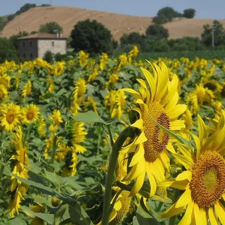 Le Spighe Alloggio per agriturismo *